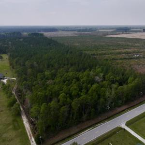 Photo #29 of SOLD property in Off Hwy 306, Grantsboro, NC 31.8 acres