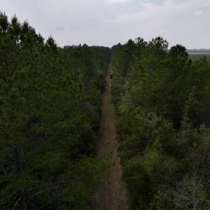 Photo #33 of SOLD property in Off Hwy 306, Grantsboro, NC 31.8 acres