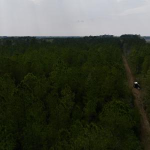Photo #37 of SOLD property in Off Hwy 306, Grantsboro, NC 31.8 acres