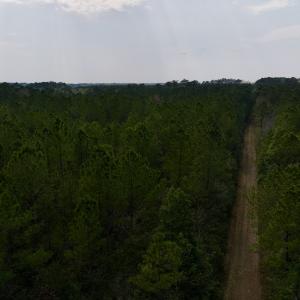 Photo #38 of SOLD property in Off Hwy 306, Grantsboro, NC 31.8 acres