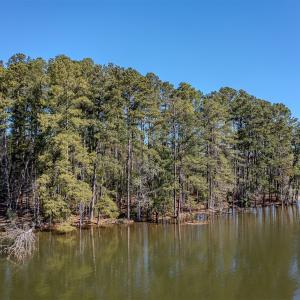 Photo #2 of SOLD property in Off Catfish Road, New London, NC 1.5 acres