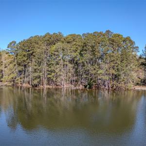 Photo #11 of SOLD property in Off Catfish Road, New London, NC 1.5 acres
