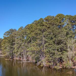 Photo #12 of SOLD property in Off Catfish Road, New London, NC 1.5 acres