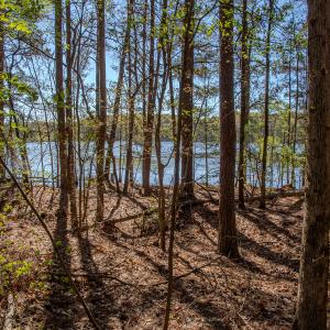 Photo #19 of SOLD property in Off Catfish Road, New London, NC 1.5 acres