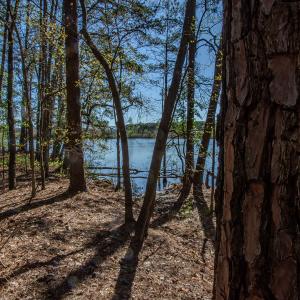 Photo #22 of SOLD property in Off Catfish Road, New London, NC 1.5 acres