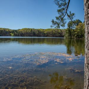 Photo #23 of SOLD property in Off Catfish Road, New London, NC 1.5 acres