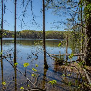 Photo #26 of SOLD property in Off Catfish Road, New London, NC 1.5 acres