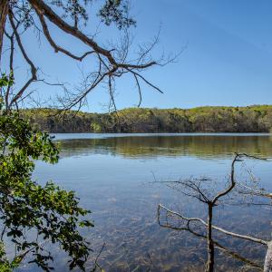 Photo #27 of SOLD property in Off Catfish Road, New London, NC 1.5 acres