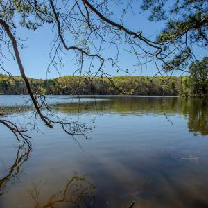 Photo #28 of SOLD property in Off Catfish Road, New London, NC 1.5 acres