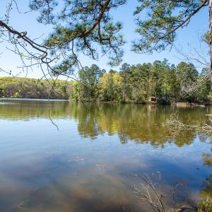 Photo #29 of SOLD property in Off Catfish Road, New London, NC 1.5 acres