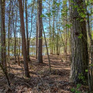 Photo #31 of SOLD property in Off Catfish Road, New London, NC 1.5 acres