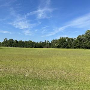 Photo #13 of Off Gage Ln, Plymouth, NC 1.9 acres