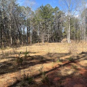 Photo #5 of SOLD property in 450 Powell Bridge Rd, Harmony, NC 10.9 acres