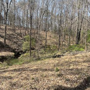 Photo #7 of SOLD property in 450 Powell Bridge Rd, Harmony, NC 10.9 acres