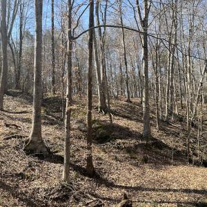 Photo #8 of SOLD property in 450 Powell Bridge Rd, Harmony, NC 10.9 acres
