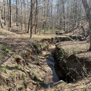 Photo #9 of SOLD property in 450 Powell Bridge Rd, Harmony, NC 10.9 acres