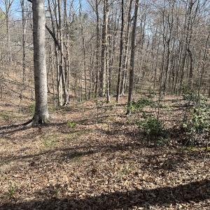Photo #11 of SOLD property in 450 Powell Bridge Rd, Harmony, NC 10.9 acres