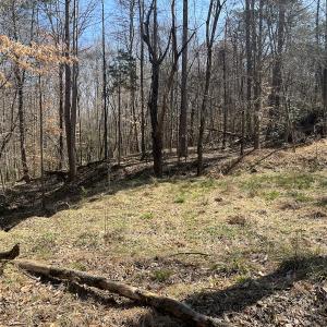 Photo #12 of SOLD property in 450 Powell Bridge Rd, Harmony, NC 10.9 acres