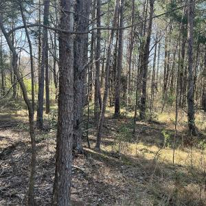 Photo #13 of SOLD property in 450 Powell Bridge Rd, Harmony, NC 10.9 acres