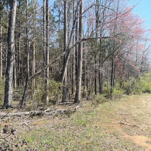 Photo #16 of SOLD property in 450 Powell Bridge Rd, Harmony, NC 10.9 acres