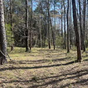 Photo #17 of SOLD property in 450 Powell Bridge Rd, Harmony, NC 10.9 acres