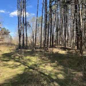 Photo #18 of SOLD property in 450 Powell Bridge Rd, Harmony, NC 10.9 acres