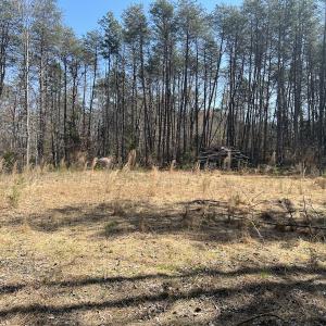 Photo #19 of SOLD property in 450 Powell Bridge Rd, Harmony, NC 10.9 acres