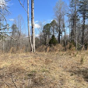 Photo #20 of SOLD property in 450 Powell Bridge Rd, Harmony, NC 10.9 acres