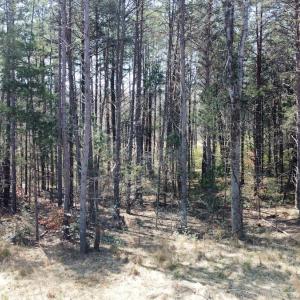Photo #6 of SOLD property in 450 Powell Bridge Rd, Harmony, NC 10.9 acres