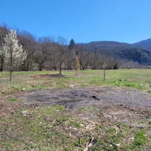 Photo #5 of Off Elwood Dr, Hot Springs, VA 0.7 acres