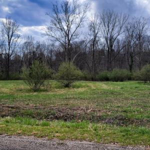 Photo #5 of Off Elwood Dr, Hot Springs, VA 1.0 acres