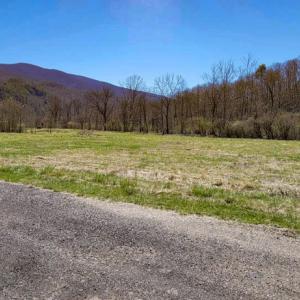 Photo #17 of Off Elwood Dr, Hot Springs, VA 1.0 acres