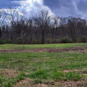 Photo #5 of Off Elwood Dr, Hot Springs, VA 1.1 acres