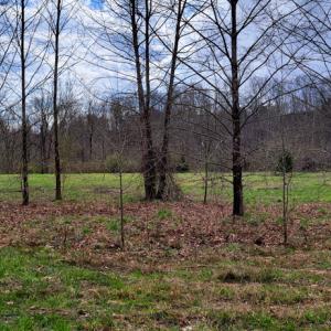 Photo #5 of Off Elwood Dr, Hot Springs, VA 1.3 acres