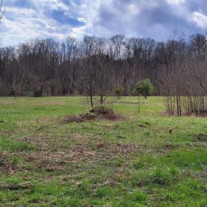 Photo #5 of Off Elwood Dr, Hot Springs, VA 1.3 acres