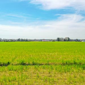 Photo #11 of Off Battlefield Blvd S, Chesapeake, VA 58.8 acres