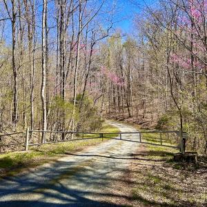 Photo #14 of SOLD property in Off Drawbridge Rd, Pittsville, VA 18.1 acres