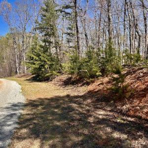 Photo #15 of SOLD property in Off Drawbridge Rd, Pittsville, VA 18.1 acres