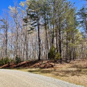 Photo #16 of SOLD property in Off Drawbridge Rd, Pittsville, VA 18.1 acres
