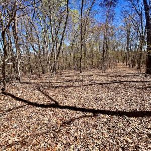 Photo #17 of SOLD property in Off Drawbridge Rd, Pittsville, VA 18.1 acres