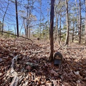 Photo #20 of SOLD property in Off Drawbridge Rd, Pittsville, VA 18.1 acres