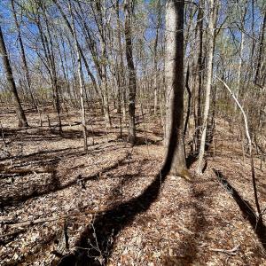 Photo #24 of SOLD property in Off Drawbridge Rd, Pittsville, VA 18.1 acres