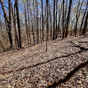 Photo #25 of SOLD property in Off Drawbridge Rd, Pittsville, VA 18.1 acres