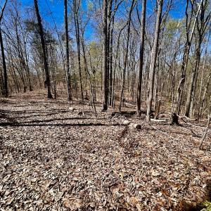 Photo #26 of SOLD property in Off Drawbridge Rd, Pittsville, VA 18.1 acres