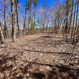 Photo #27 of SOLD property in Off Drawbridge Rd, Pittsville, VA 18.1 acres