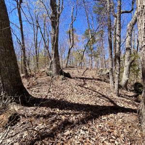 Photo #29 of SOLD property in Off Drawbridge Rd, Pittsville, VA 18.1 acres