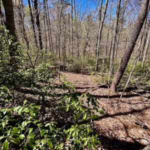 Photo #30 of SOLD property in Off Drawbridge Rd, Pittsville, VA 18.1 acres