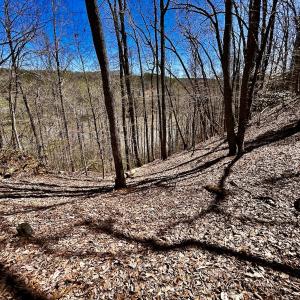 Photo #31 of SOLD property in Off Drawbridge Rd, Pittsville, VA 18.1 acres