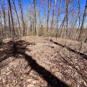 Photo #32 of SOLD property in Off Drawbridge Rd, Pittsville, VA 18.1 acres