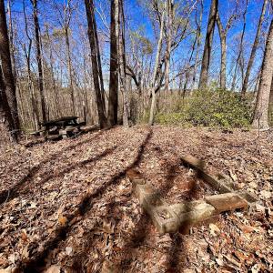 Photo #34 of SOLD property in Off Drawbridge Rd, Pittsville, VA 18.1 acres